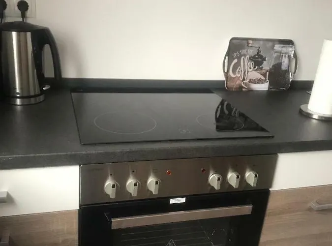 公寓 Ehrenbreitstein 科布倫茨